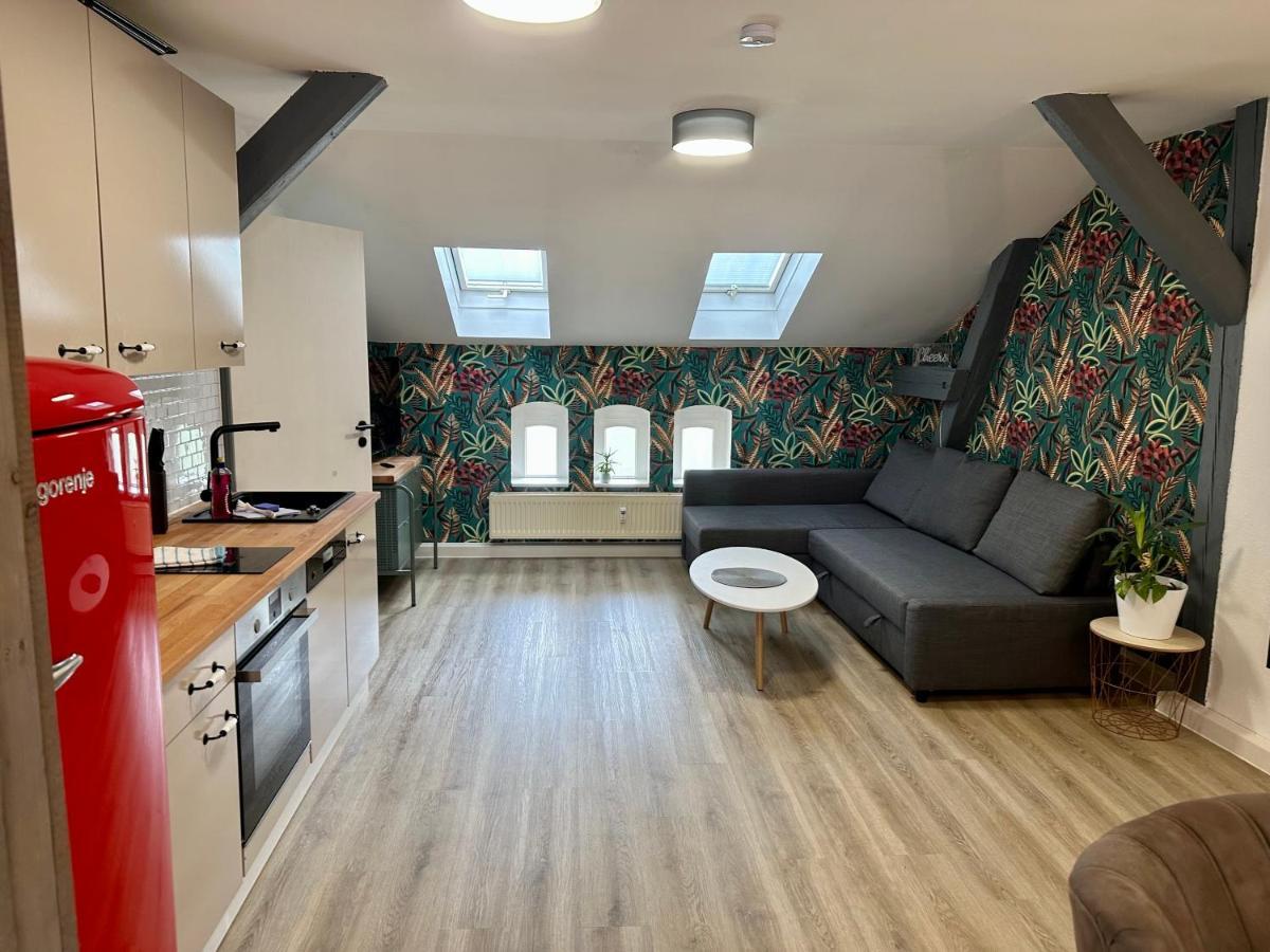 Apartment Zum Bunten Schmetterling Inkl. Parkplatz エアフルト エクステリア 写真